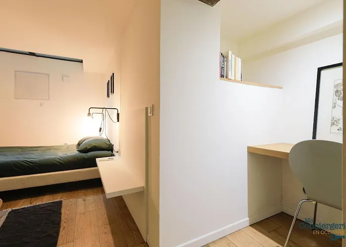 Apartament Dv2 Souplex - Metro - Gare Hypercentre Tuluza