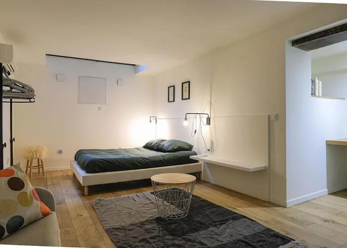 Dv2 Souplex - Metro - Gare Hypercentre Apartament Tuluza