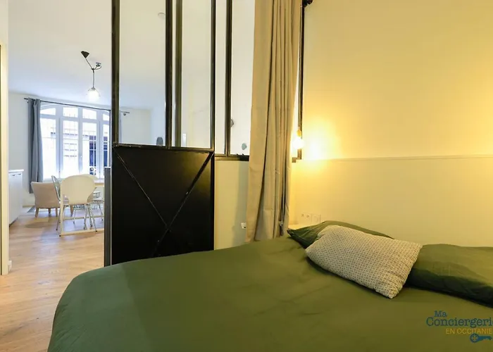 Dv2 Souplex - Metro - Gare Hypercentre * Toulouse